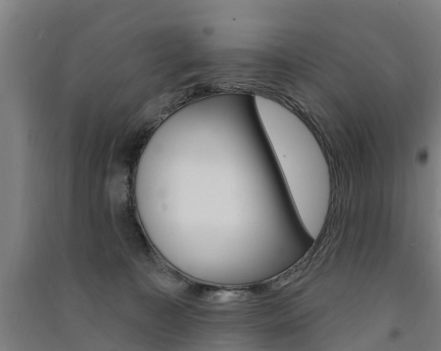 X0000091580323200708201019