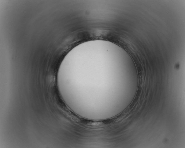 X0000091580324200708201019