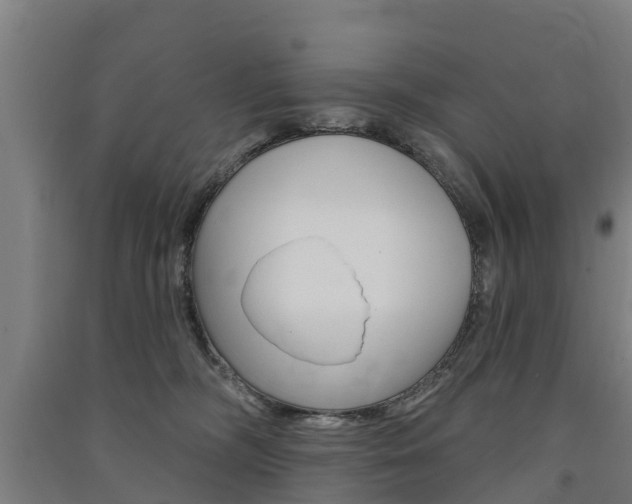 X0000091580326200708201019