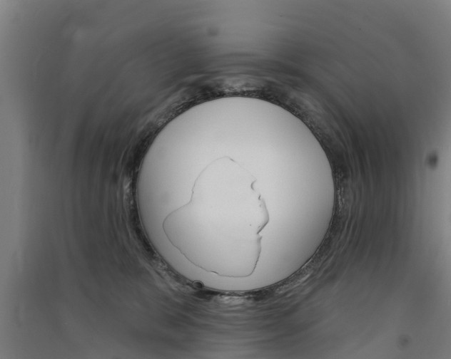 X0000091580327200708201019