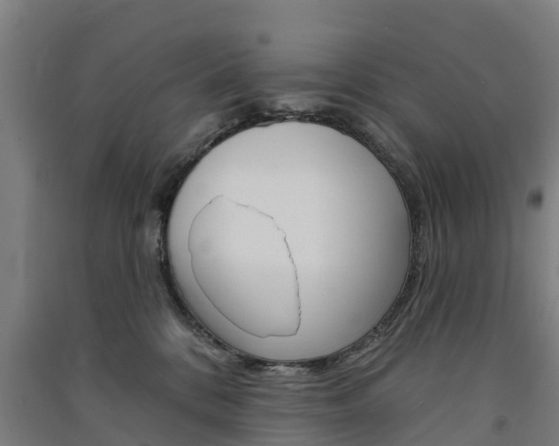 X0000091580328200708201019
