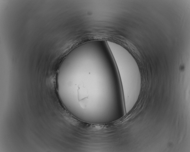 X0000091580329200708201019