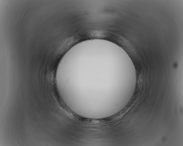 X0000091580330200708201019