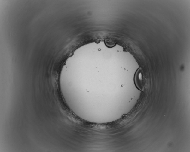 X0000091580332200708201019