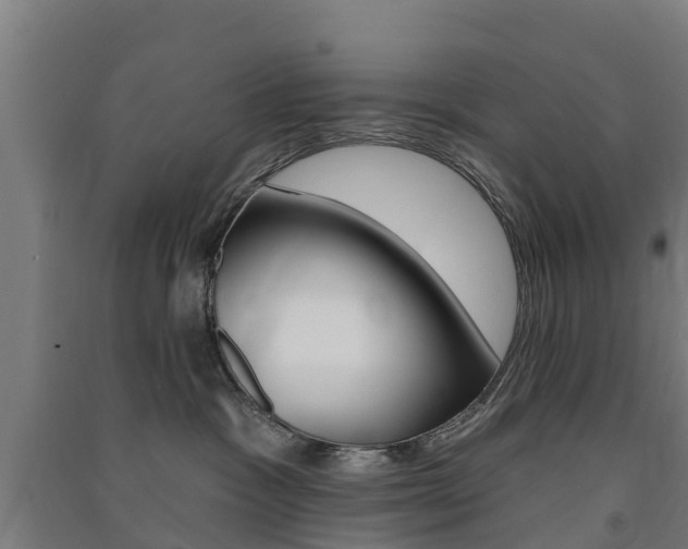 X0000091580333200708201019