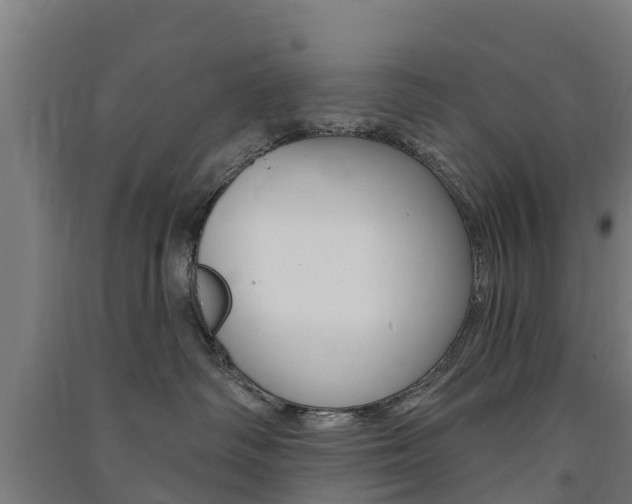 X0000091580334200708201019