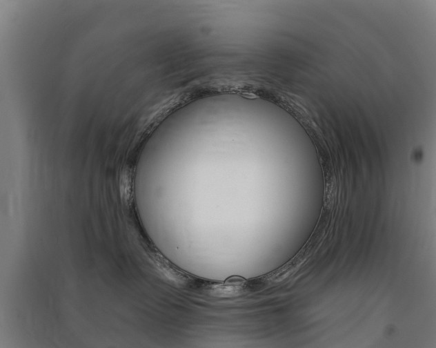 X0000091580335200708201019