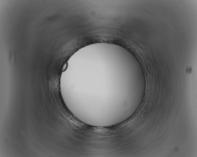 X0000091580336200708201019