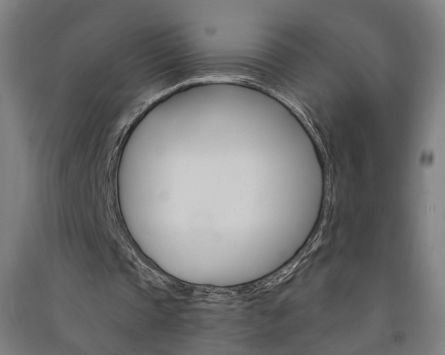 X0000091580337200708201018