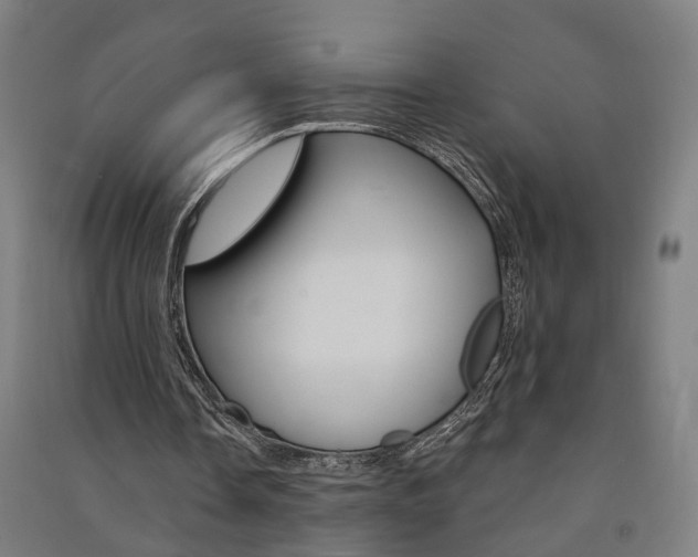 X0000091580338200708201018