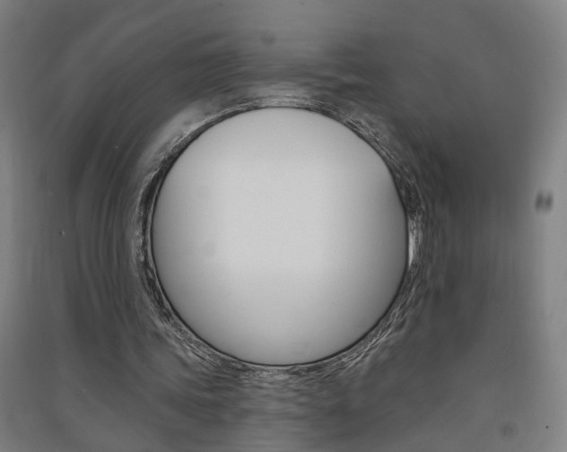 X0000091580339200708201018
