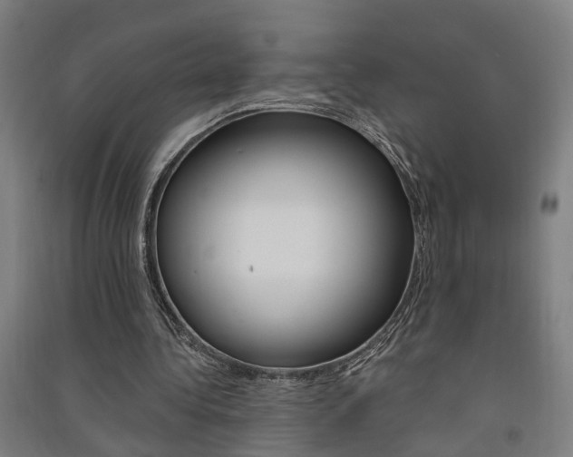 X0000091580340200708201018
