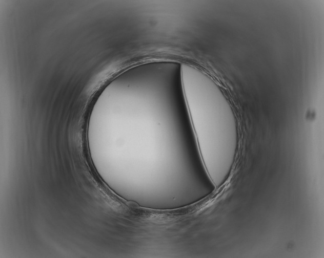X0000091580341200708201018