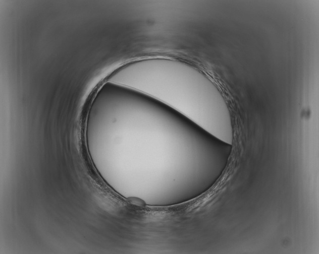 X0000091580342200708201018