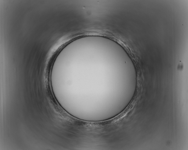 X0000091580343200708201018