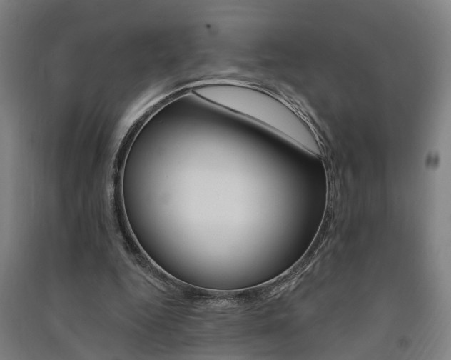X0000091580344200708201018