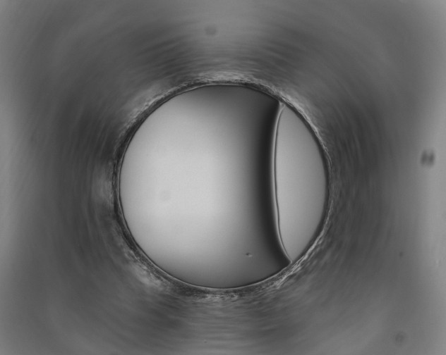 X0000091580345200708201018