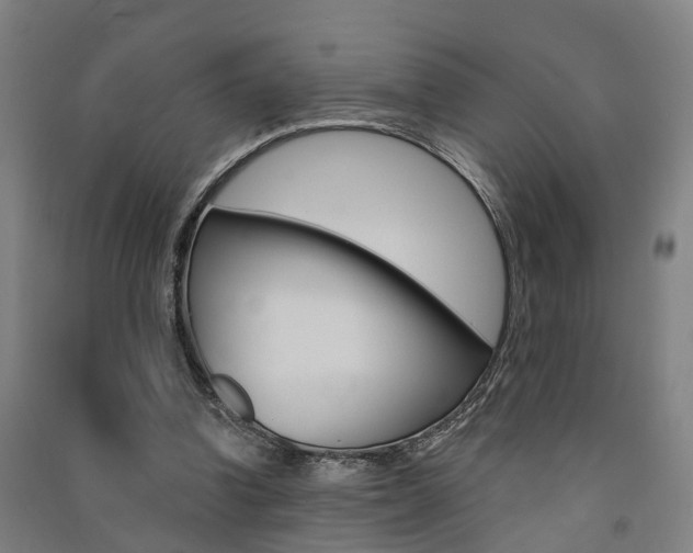 X0000091580346200708201018