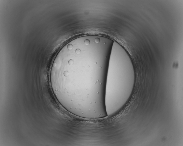 X0000091580347200708201018
