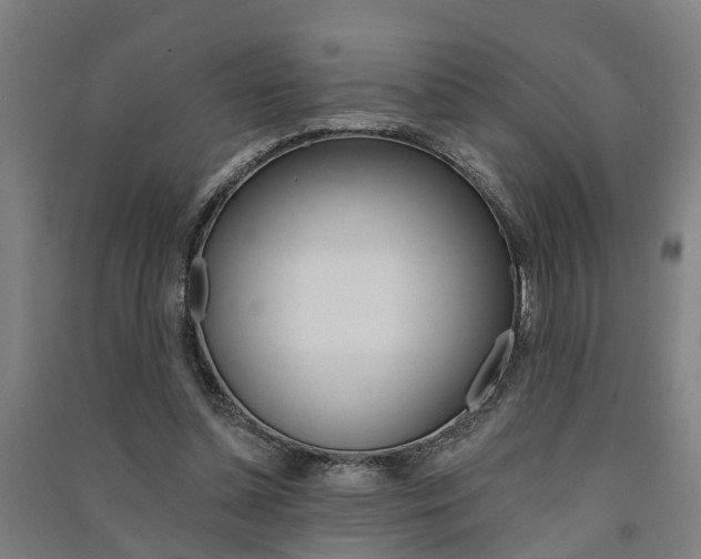X0000091580348200708201018