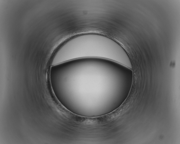 X0000091580350200708201018