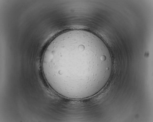 X0000091580351200708201018