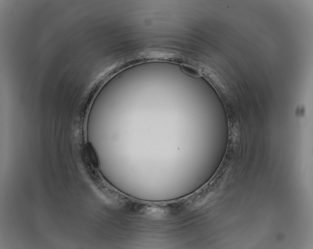 X0000091580352200708201018