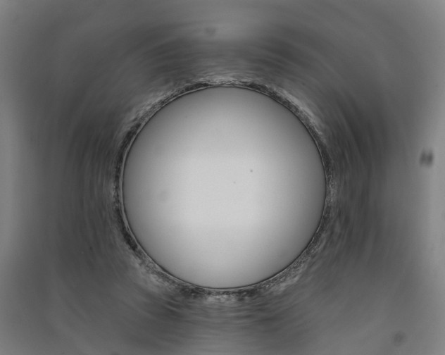 X0000091580353200708201019