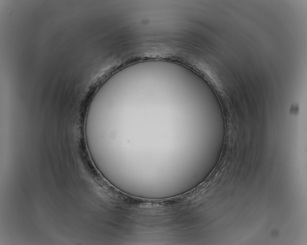 X0000091580354200708201019