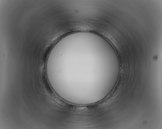 X0000091580355200708201019