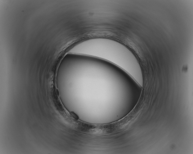 X0000091580356200708201019
