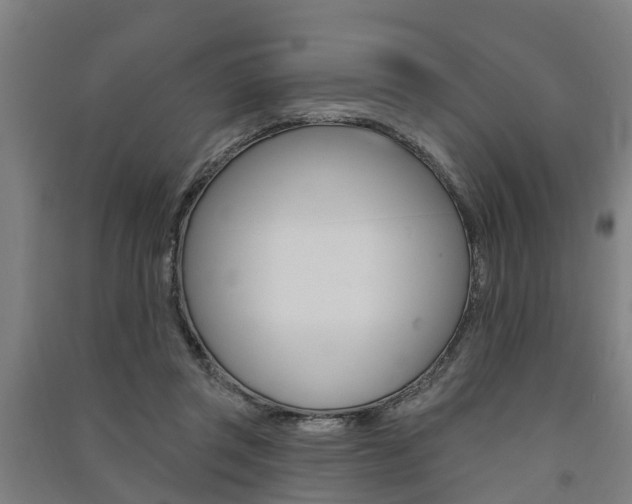 X0000091580357200708201019