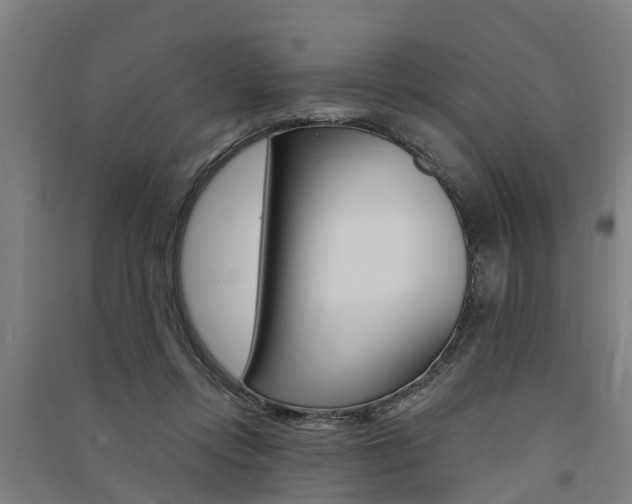 X0000091580358200708201019