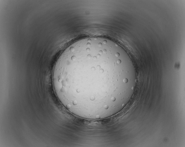 X0000091580359200708201019