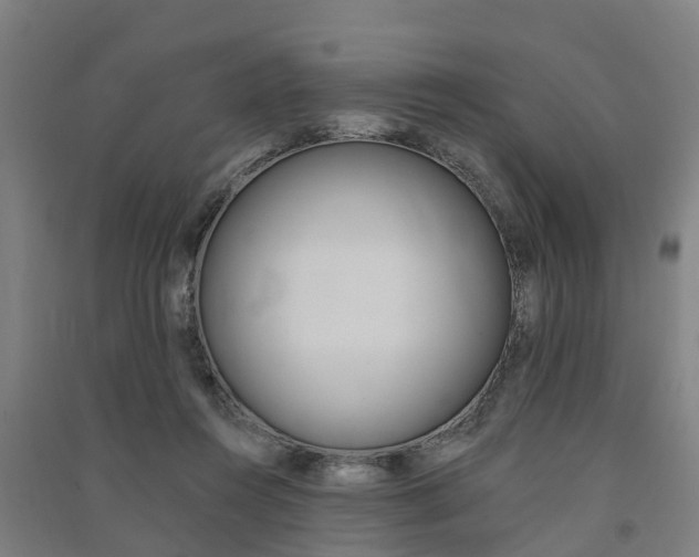 X0000091580360200708201019