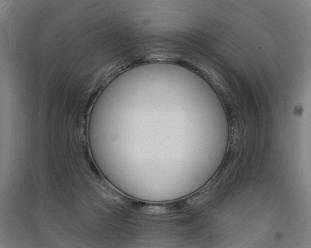 X0000091580361200708201019