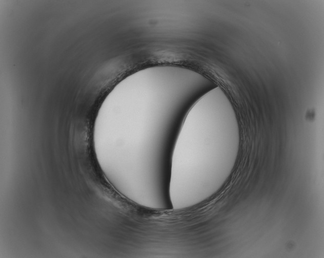 X0000091580362200708201019