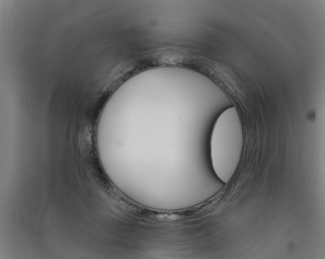 X0000091580363200708201019