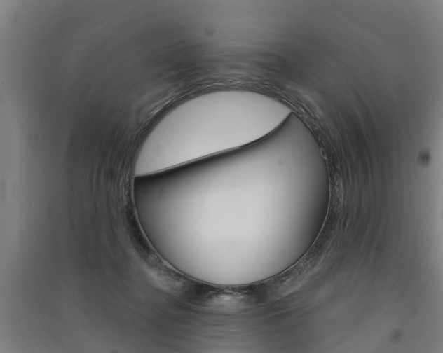 X0000091580364200708201019