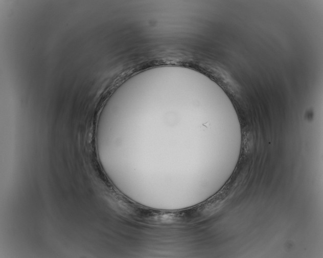 X0000091580365200708201019
