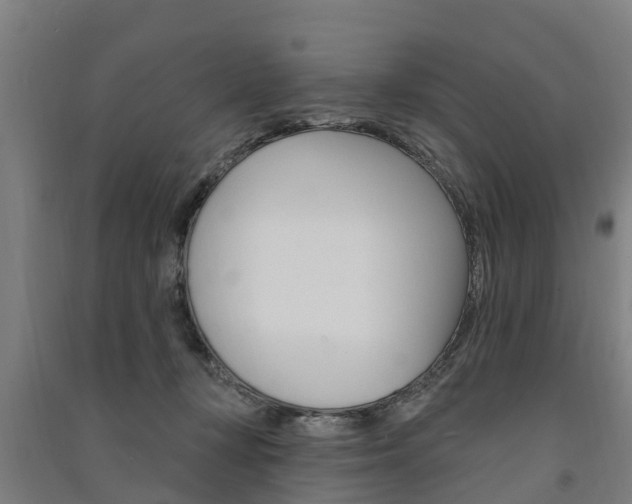 X0000091580367200708201019