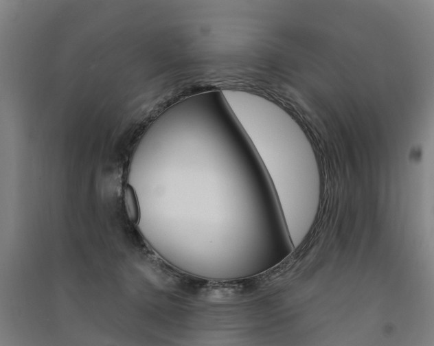 X0000091580368200708201019