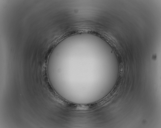 X0000091580369200708201019