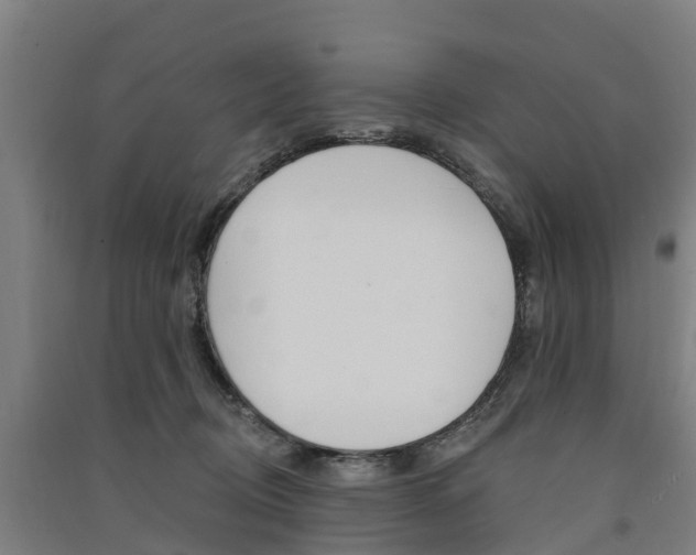 X0000091580370200708201019