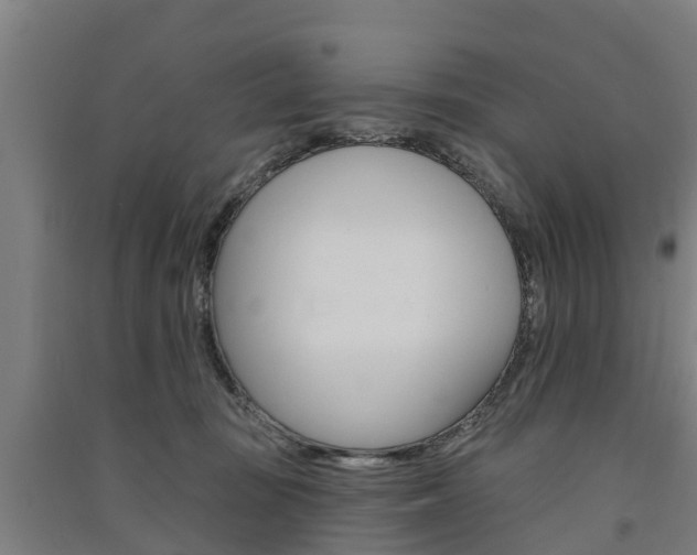 X0000091580371200708201019