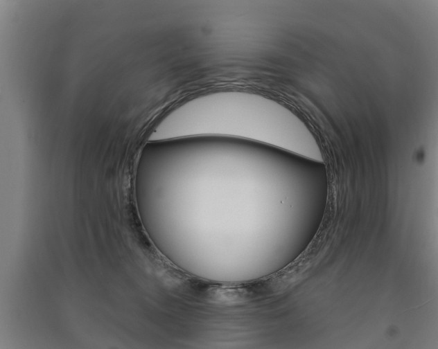 X0000091580372200708201019