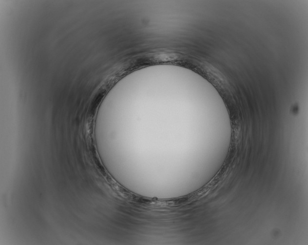 X0000091580373200708201019