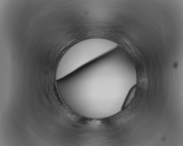 X0000091580374200708201019