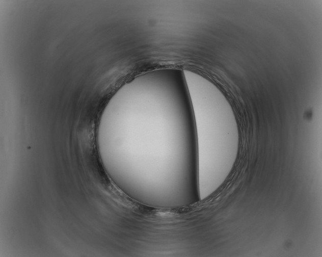 X0000091580376200708201019