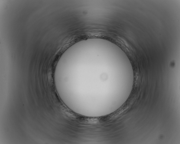 X0000091580377200708201019